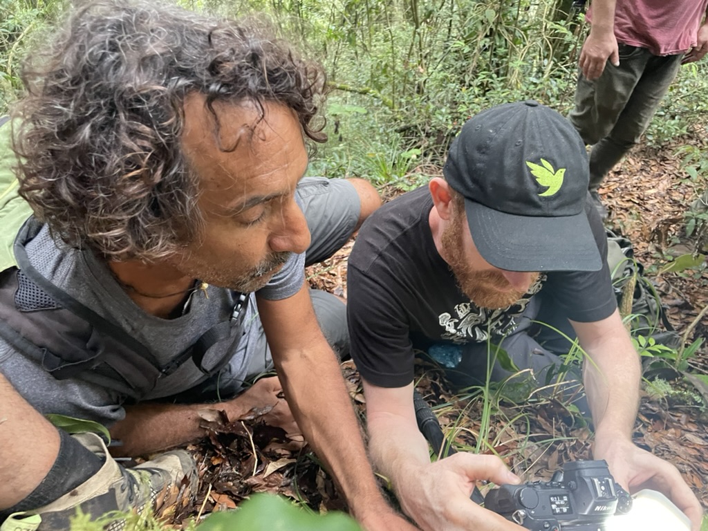 Researchers examining a freshly collected specimen on the forest floor